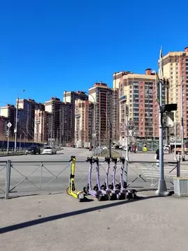 1-к кв. Санкт-Петербург пос. Парголово, ул. Валерия Гаврилина, 13к1 ...