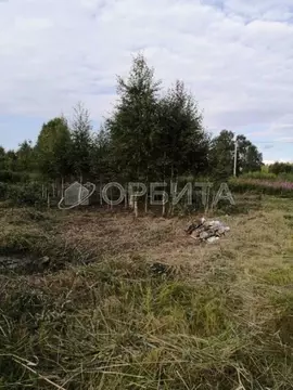 Участок в Тюменская область, Нижнетавдинский муниципальный округ, ...