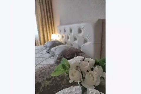 1-к кв. Московская область, Ногинск Богородский городской округ, ул. ...