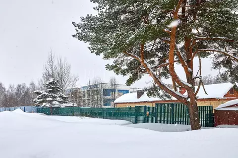 Торговая площадь в Московская область, Мытищи городской округ, пос. ...