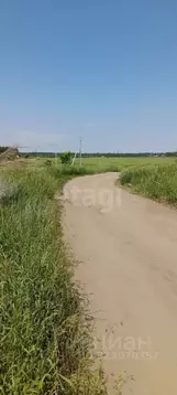 Участок в Алтайский край, Первомайский район, с. Санниково, Овощевод ...