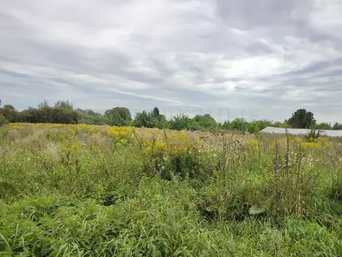 Участок в Новгородская область, Новгородский район, Бронницкое с/пос, ...
