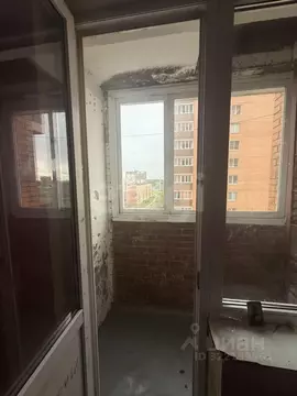 1-к кв. Ленинградская область, Никольское Тосненский район, ...