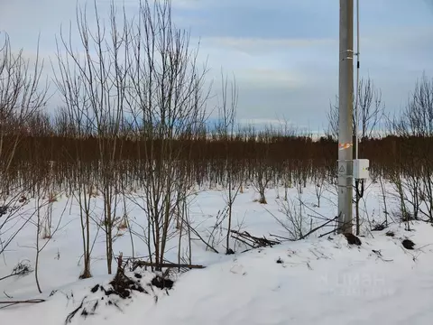 Участок в Московская область, Рузский муниципальный округ, д. Леньково ...