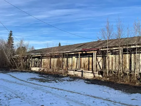 Помещение свободного назначения в Ямало-Ненецкий АО, Красноселькупский ...