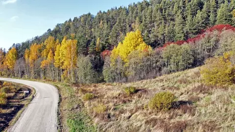 Участок в Карелия, Лахденпохский муниципальный округ, пос. Харвиа ул. ...