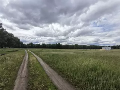 Участок в Воронежская область, Воронеж проезд 2-й Никольский (6.0 ...