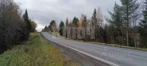 Участок в Вологодская область, Сокольский муниципальный округ, д. ...