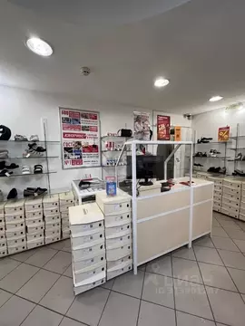 Помещение свободного назначения в Коми, Сыктывкар просп. Бумажников, ...