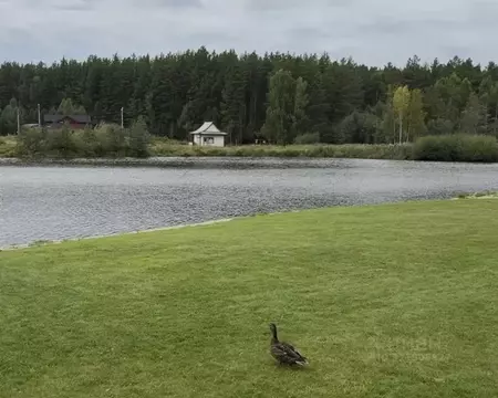 Участок в Свердловская область, Полевской муниципальный округ, с. ...