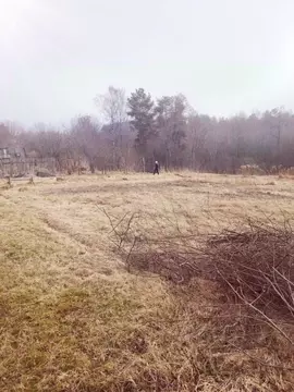 Участок в Ленинградская область, Ломоносовский район, Лебяженское ...