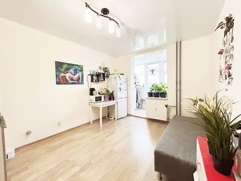 Студия Ленинградская область, Мурино Всеволожский район, ул. Шувалова, ...