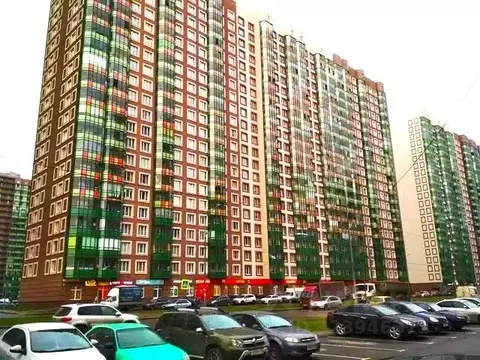 Студия Ленинградская область, Мурино Всеволожский район, ул. Шувалова, ...