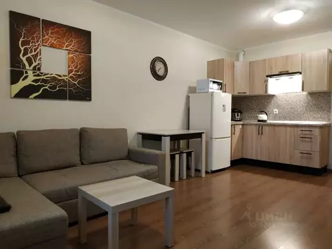 Студия Санкт-Петербург пос. Парголово, Заречная ул., 11к2 (28.0 м)