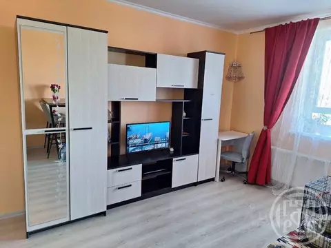 Студия Санкт-Петербург Парашютная ул., 42к1 (25.4 м)