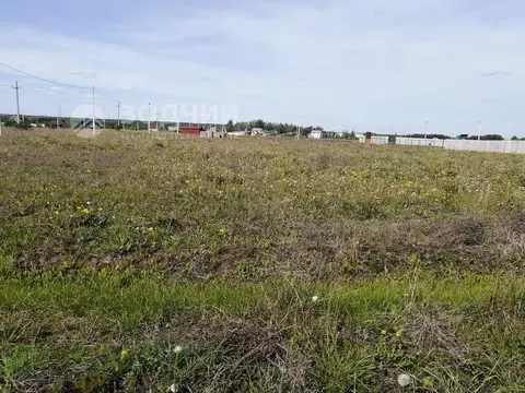 Участок в Чувашия, Канашский муниципальный округ, Лесной высел.  ...