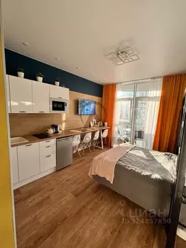 Студия Краснодарский край, Туапсинский муниципальный округ, с. ...