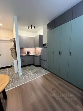 Студия Москва просп. Прокшинский, 5 (22.1 м)