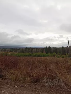 Участок в Пермский край, Пермский муниципальный округ, с. Платошино ...