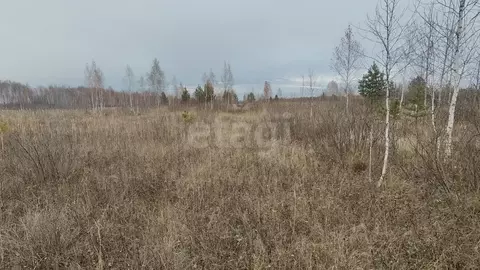 Участок в Тюменская область, Ялуторовский муниципальный округ, СО ...