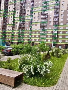 Студия Московская область, Красногорск городской округ, Путилково пгт ...