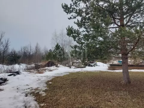 Участок в Воронежская область, Новоусманский район, с. Бабяково ул. ...