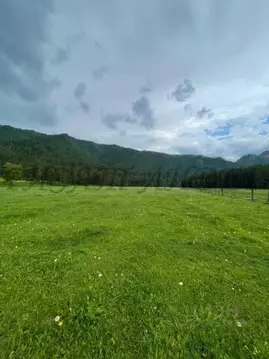 Участок в Алтай, Чемальский район, с. Чепош ул. Кучияк, 33 (13.0 сот.)