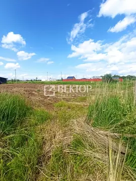 Участок в Костромская область, Кострома Первый кп, проезд Городецкий, ...