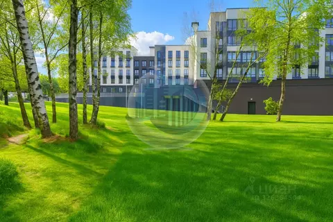 Участок в Московская область, Ленинский городской округ, д. Спасские ...