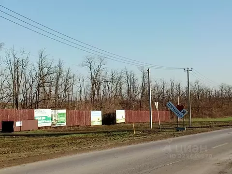 Участок в Ростовская область, Родионово-Несветайский район, ...