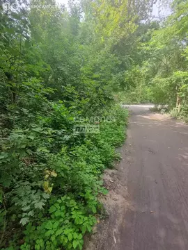 Участок в Воронеж, улица Лесной Посёлок (8 м)