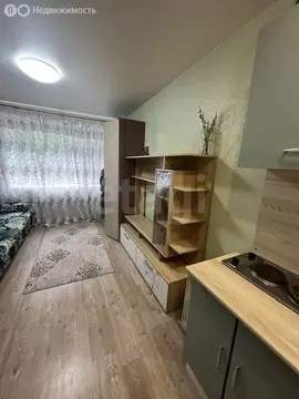 Квартира-студия: посёлок Новотарманский, Сосновая улица, 7 (16.1 м)