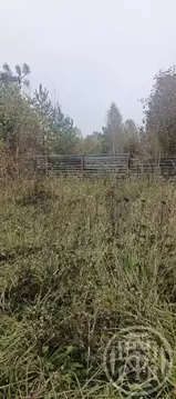 Участок в Ленинградская область, Лужский район, Заклинское с/пос, д. ...