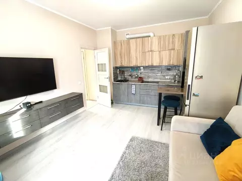 1-к кв. Санкт-Петербург аллея Арцеуловская, 19 (43.0 м)