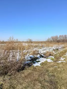 Участок в Новосибирская область, Новосибирский район, с. Криводановка, ...