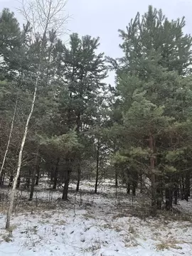 Участок в Московская область, Павлово-Посадский городской округ, с. ...