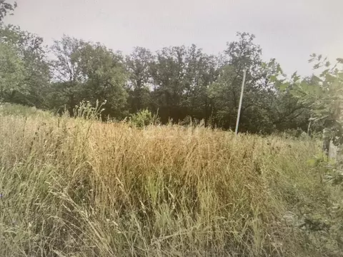 Участок в Ульяновская область, Ульяновский район, Большеключищенское ...