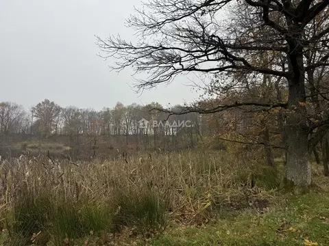 Участок в Калининградская область, Зеленоградский муниципальный округ, ...