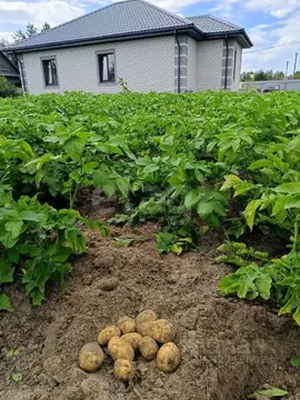 Участок в Тюменская область, Тюменский муниципальный округ, с. Каскара ...