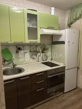 1-к кв. Новосибирская область, Новосибирск Красный просп., 94/1 (31.0 ...