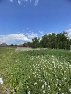 Участок в Свердловская область, Полевской городской округ, с. Косой ...
