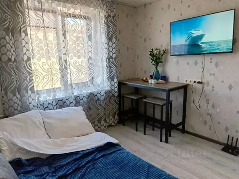 Студия Свердловская область, Невьянск ул. Матвеева, 20 (12.0 м)