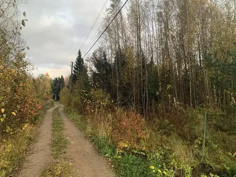 Участок в Ленинградская область, Выборгский район, Гончаровское с/пос, ...
