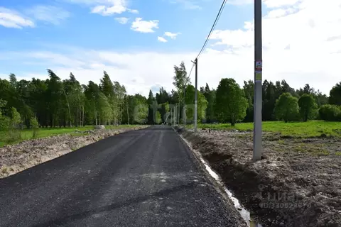 Участок в Ленинградская область, Ломоносовский район, Низинское с/пос, ...