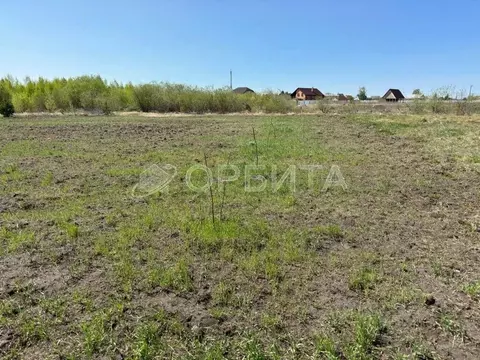 Участок в Тюменская область, Тюменский муниципальный округ, с. ...