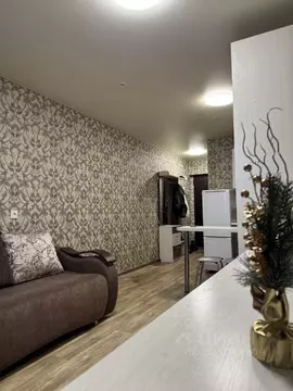 Студия Алтайский край, Новоалтайск Прудская ул., 40 (22.0 м)