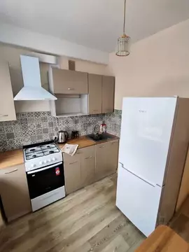 2-к кв. Санкт-Петербург просп. Космонавтов, 38К2 (45.0 м)