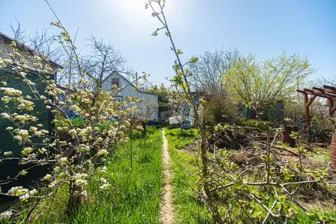 Участок в Севастополь Скиф садоводческое товарищество, 237 (4.0 сот.)