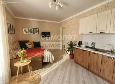 1-комнатная квартира: Омск, улица Мишина, 2 (26.2 м)