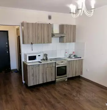 Студия Санкт-Петербург пос. Шушары, просп. Новгородский, 2к1 (25.3 м)